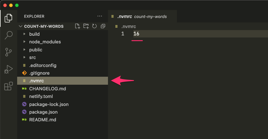 Screenshot of nvmrc file in code editor